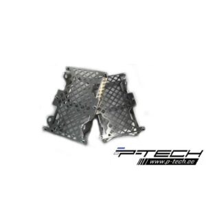 Protectii rediator Beta 2T RR 250/300 '13-'19/4T RR/RS 350-500 '13-'19 P-TECH RKK006