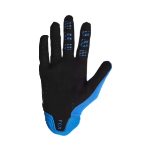 31316188-2-webp_etUm8_1740493474