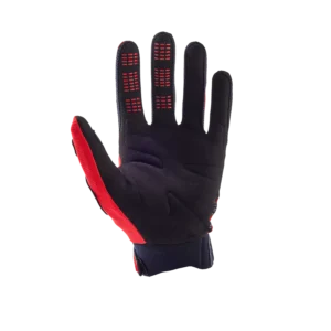 31324110-2-webp_KfElI_1739784550