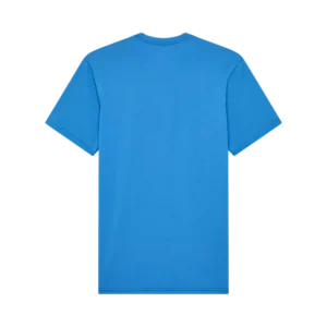 31731188-2-webp_EIKvg_1740386778