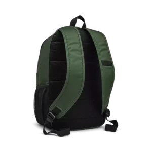 32790245-2-webp_cRdsr_1740396011