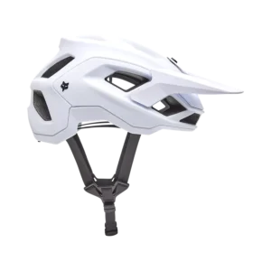 33497008-1-webp_267Ot_1740135591