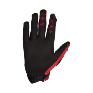 33729110-2-webp_RnynC_1740140042