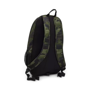 32793031-2-webp_zxvpY_1743421571