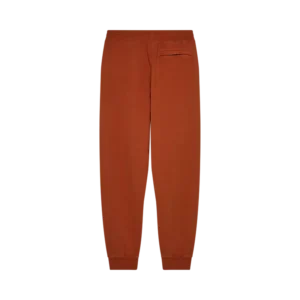 33146633-2-webp_wuwzX_1743498416