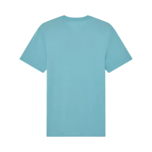 33407402-2-webp_ytfWw_1742907061