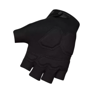 33608001-2-webp_hhz5h_1742998844