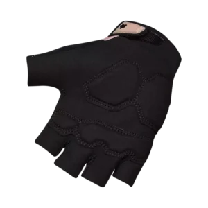 33608345-2-webp_SyhG0_1743057871