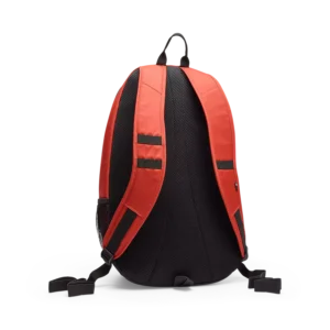 32793525-2-webp_M4vb0_1756878092