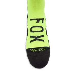 36367130-2-webp_tAdH2_1756971915