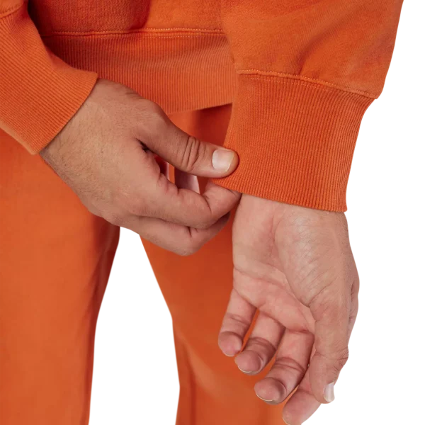 WORDMARK OVERSIZED FLEECE PO [COG]