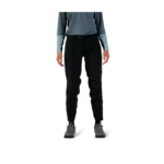 W DEFEND 3L WATER PANT [BLK]