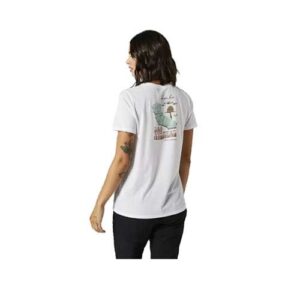 sstee2_xnpiE_1684230852