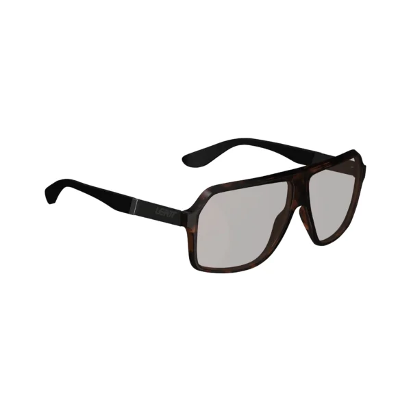 Sunglasses TheViz Andes Brown Polarized Brown/Silver 20 VLT