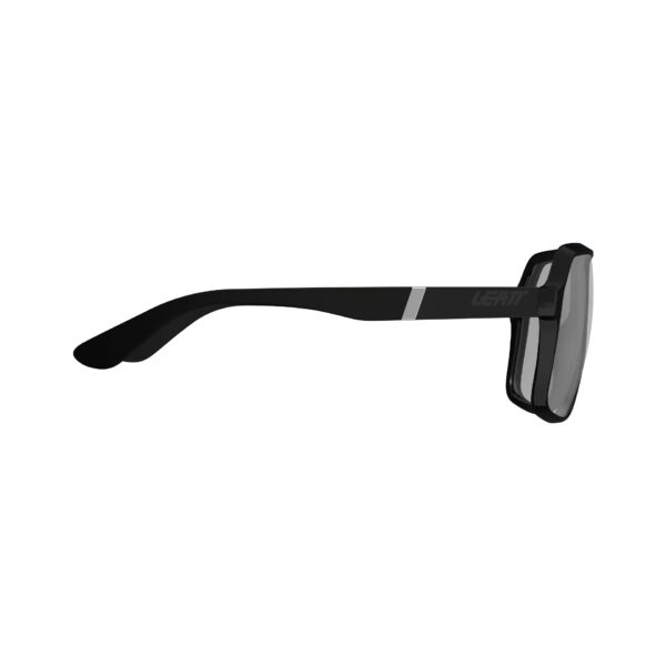 Sunglasses TheViz Andes Black Polarized Silver 17 VLT