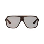 Sunglasses TheViz Andes Brown Polarized Brown/Silver 20 VLT