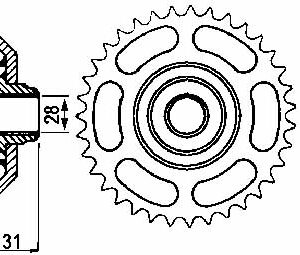 JT - Foaie (spate), 40 dinti (ultima bucata)