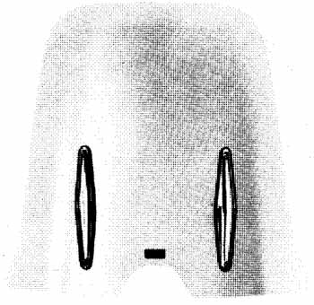 PARBRIZ MOPED CU PRINDERI